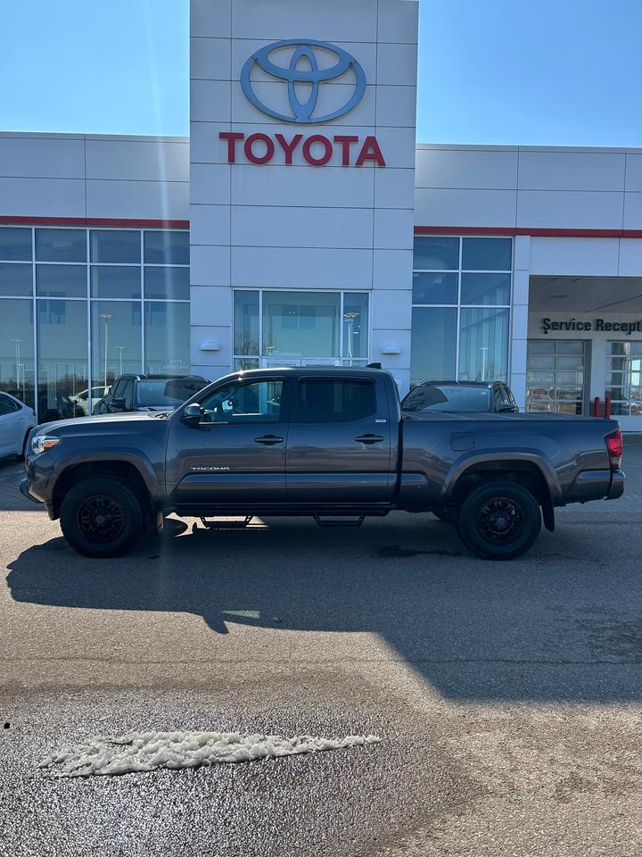 2023 Toyota Tacoma SR5 Photo