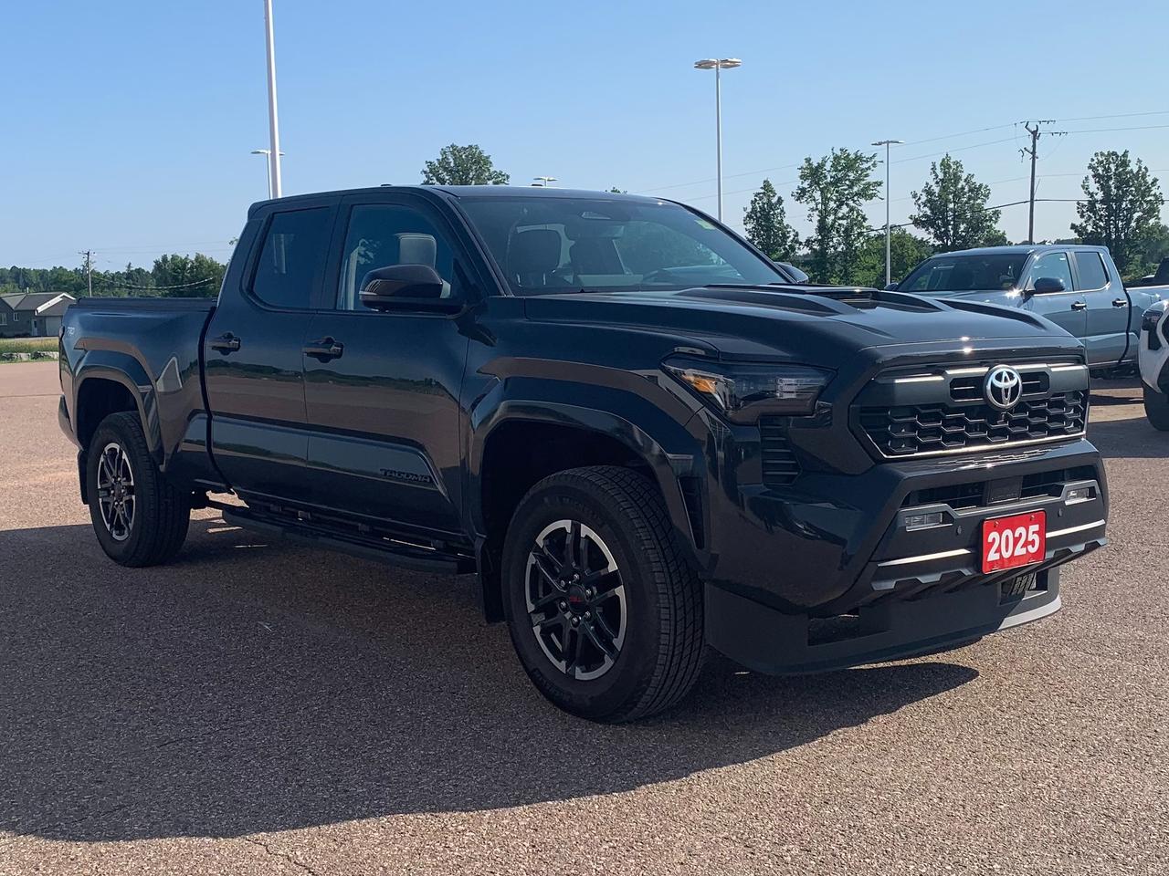 2025 Toyota Tacoma TRD SPORT PREMIUM Photo