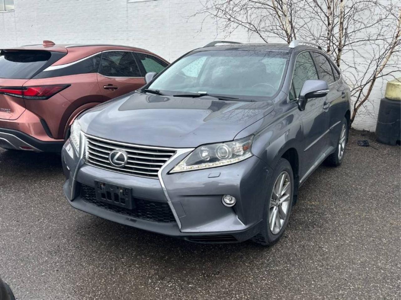 2015 Lexus RX 350 * AWD * SPORTDESIGN SPORTDESIGN Photo