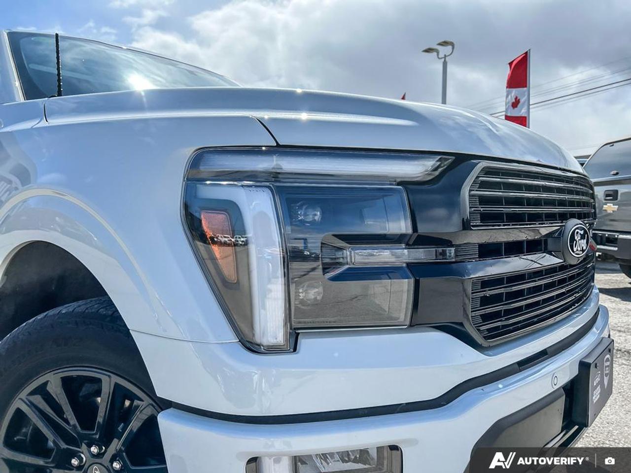 2025 Ford F-150 Platinum PANORAMIC MOONROOF | 20 INCH WHEELS | FX4 OFF-ROAD Photo