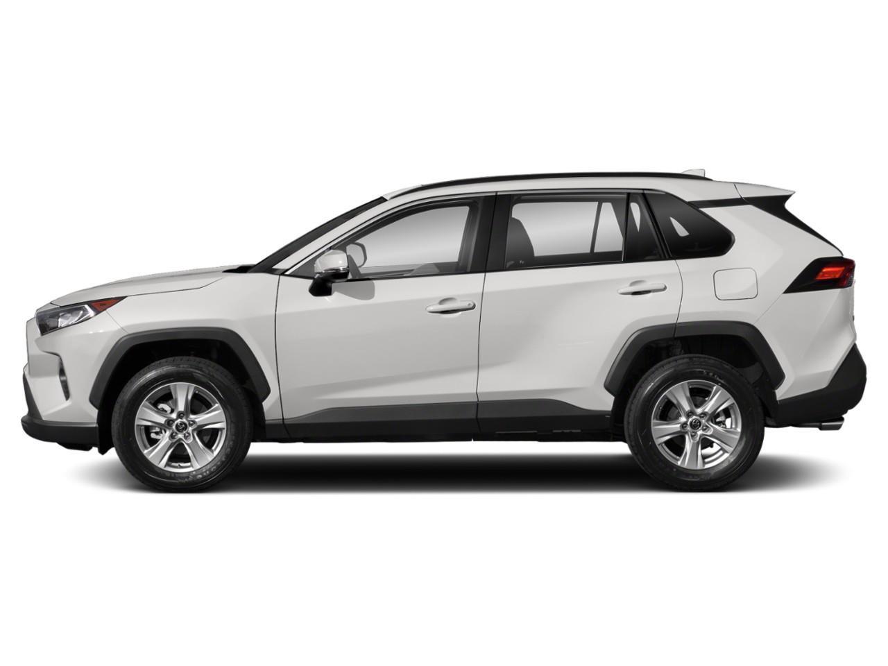 2019 Toyota RAV4 XLE Photo