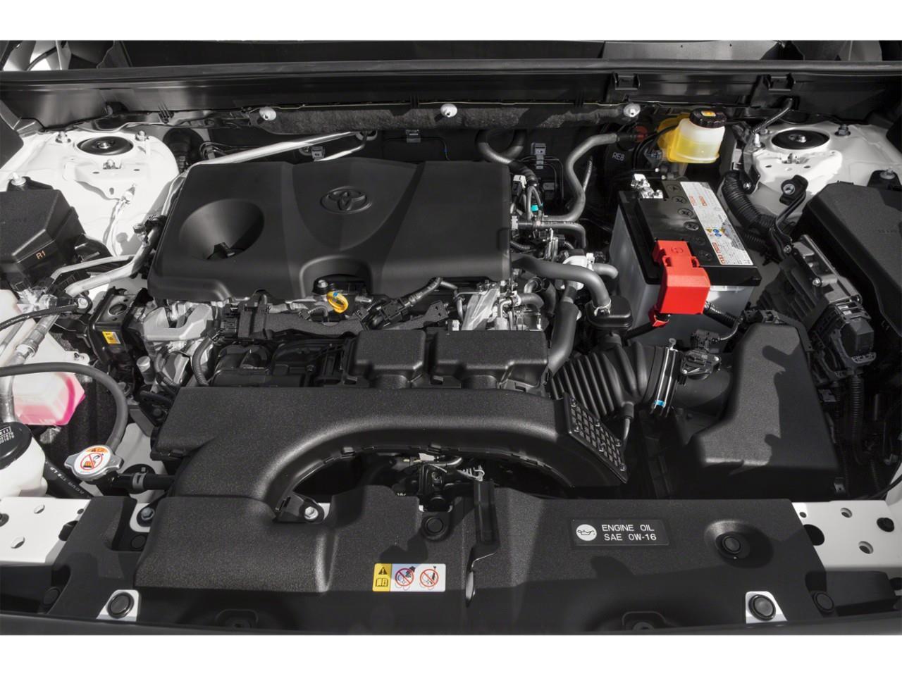2019 Toyota RAV4 XLE Photo