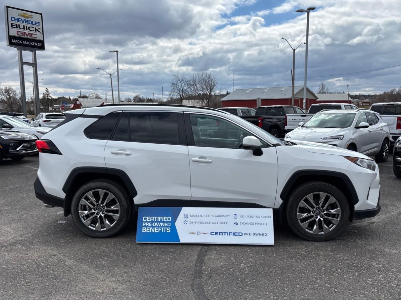 2019 Toyota RAV4 XLE Photo