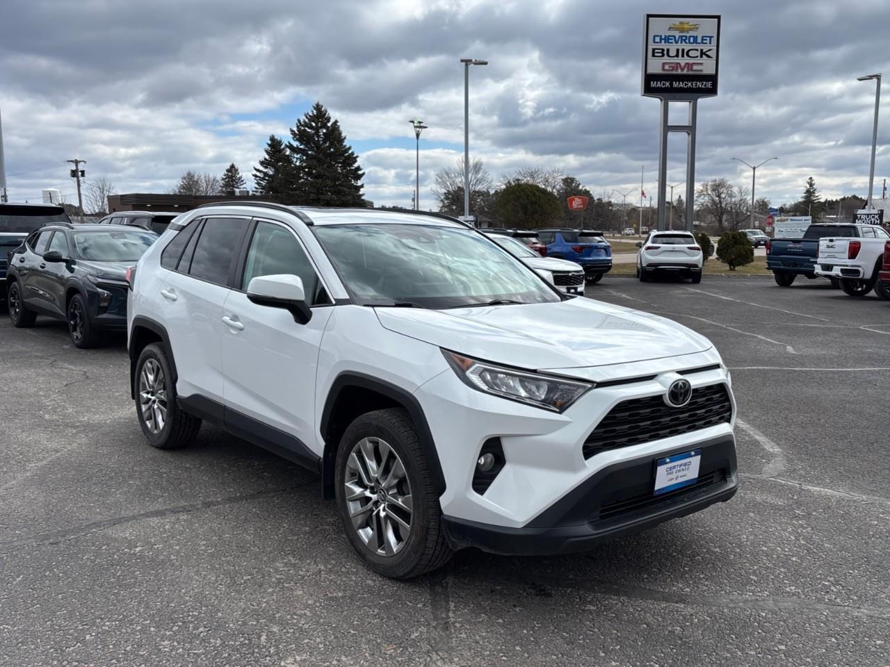 2019 Toyota RAV4 XLE Photo