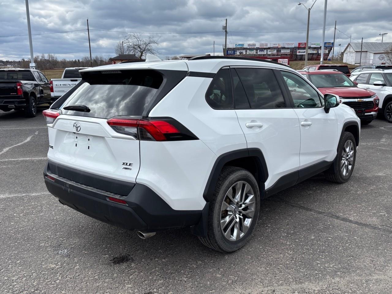 2019 Toyota RAV4 XLE Photo