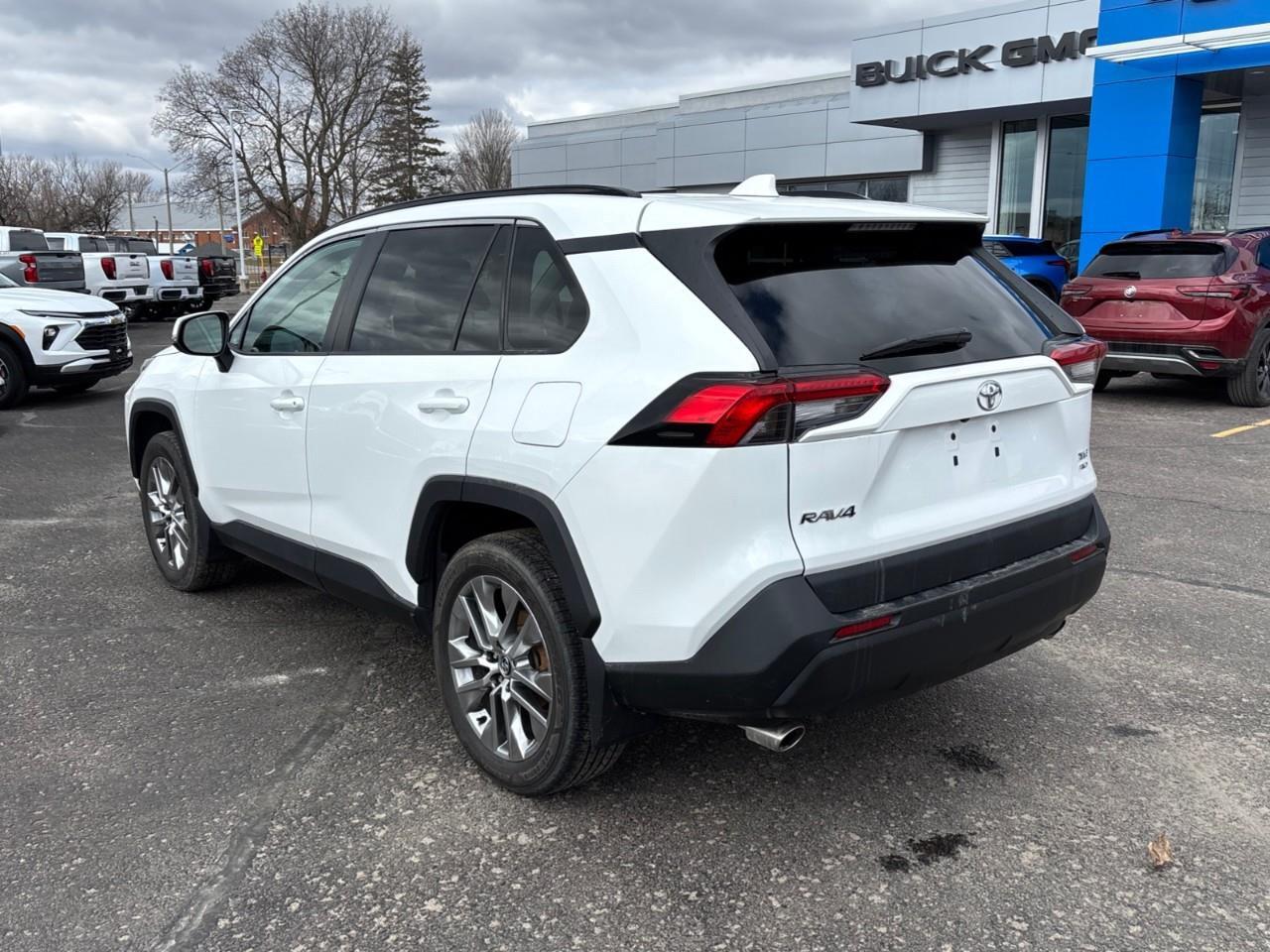 2019 Toyota RAV4 XLE Photo