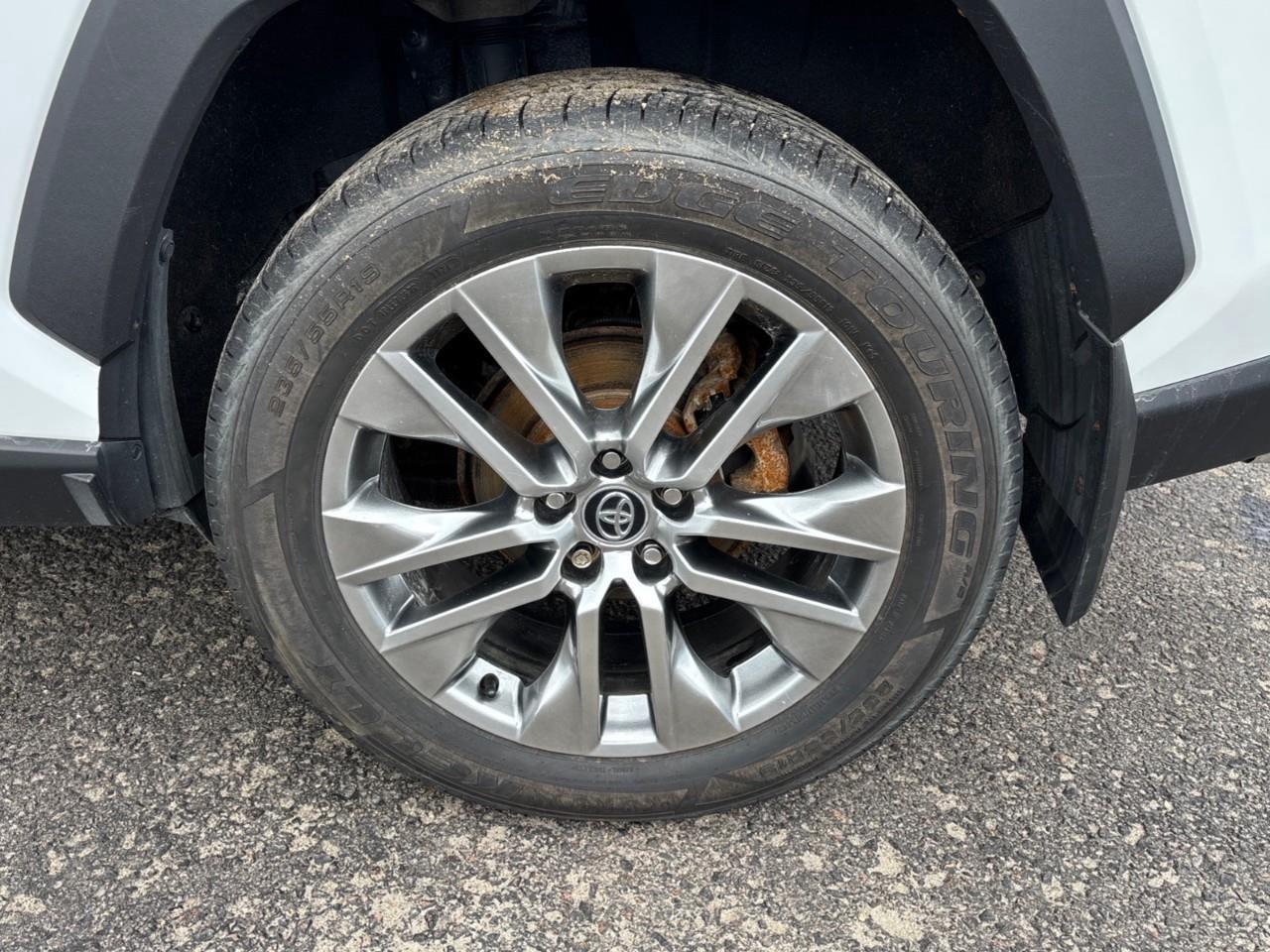 2019 Toyota RAV4 XLE Photo