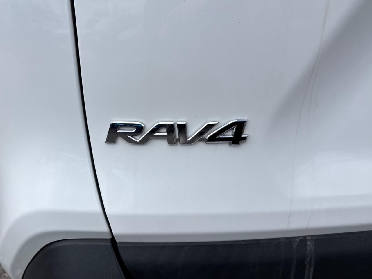 2019 Toyota RAV4 XLE Photo