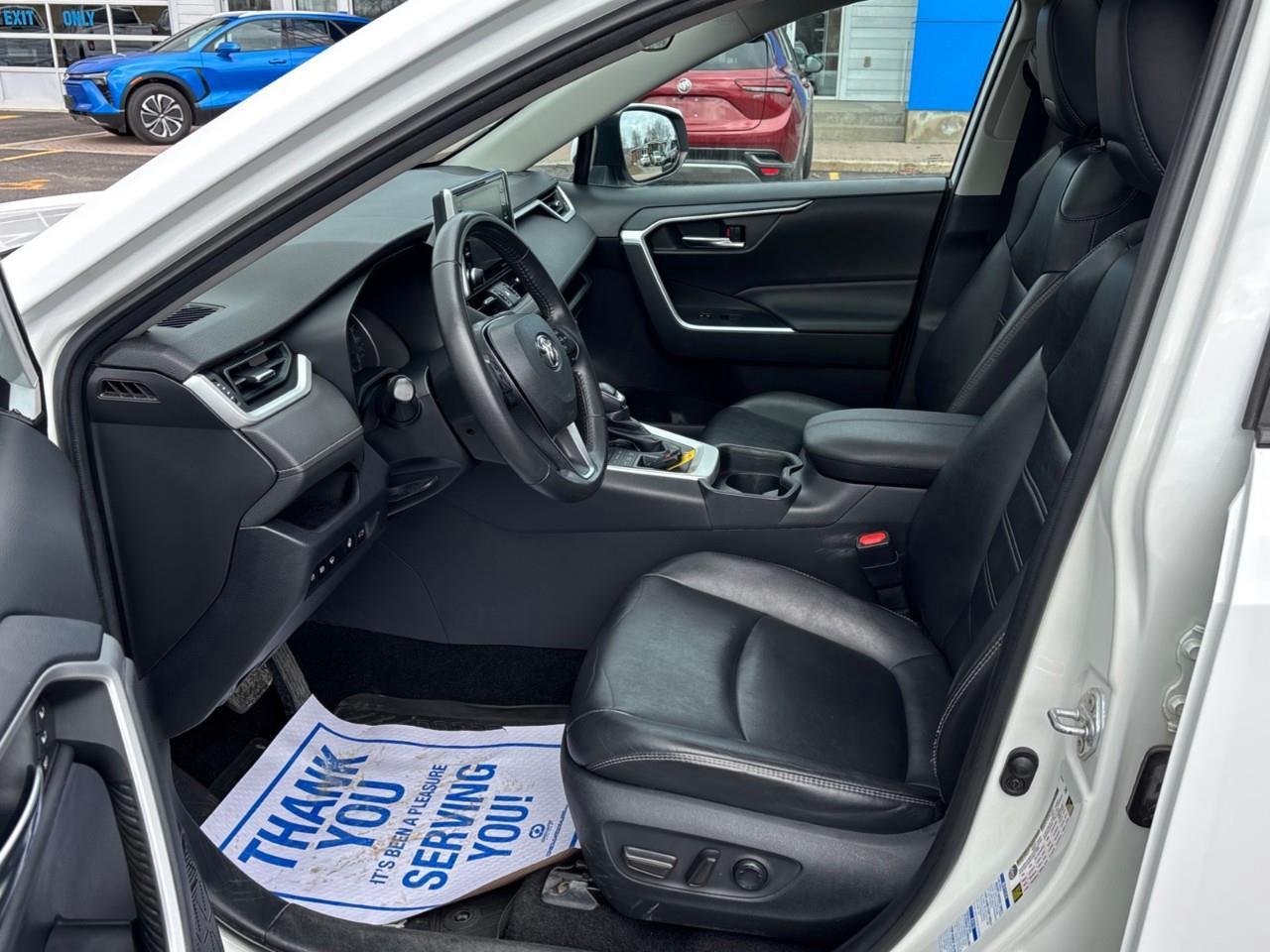2019 Toyota RAV4 XLE Photo