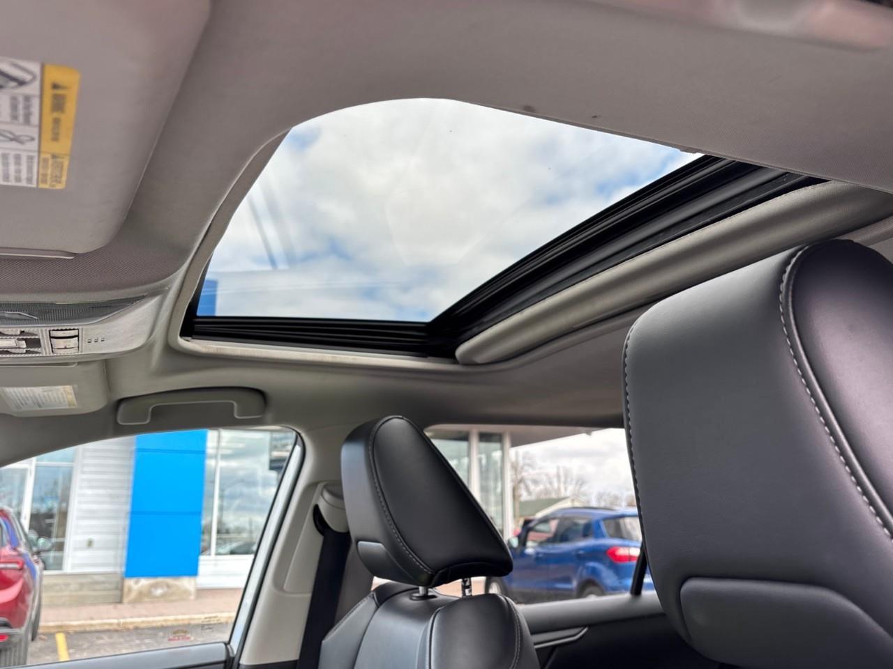 2019 Toyota RAV4 XLE Photo