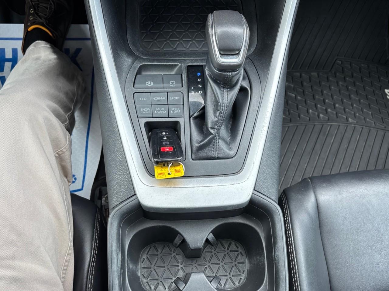 2019 Toyota RAV4 XLE Photo