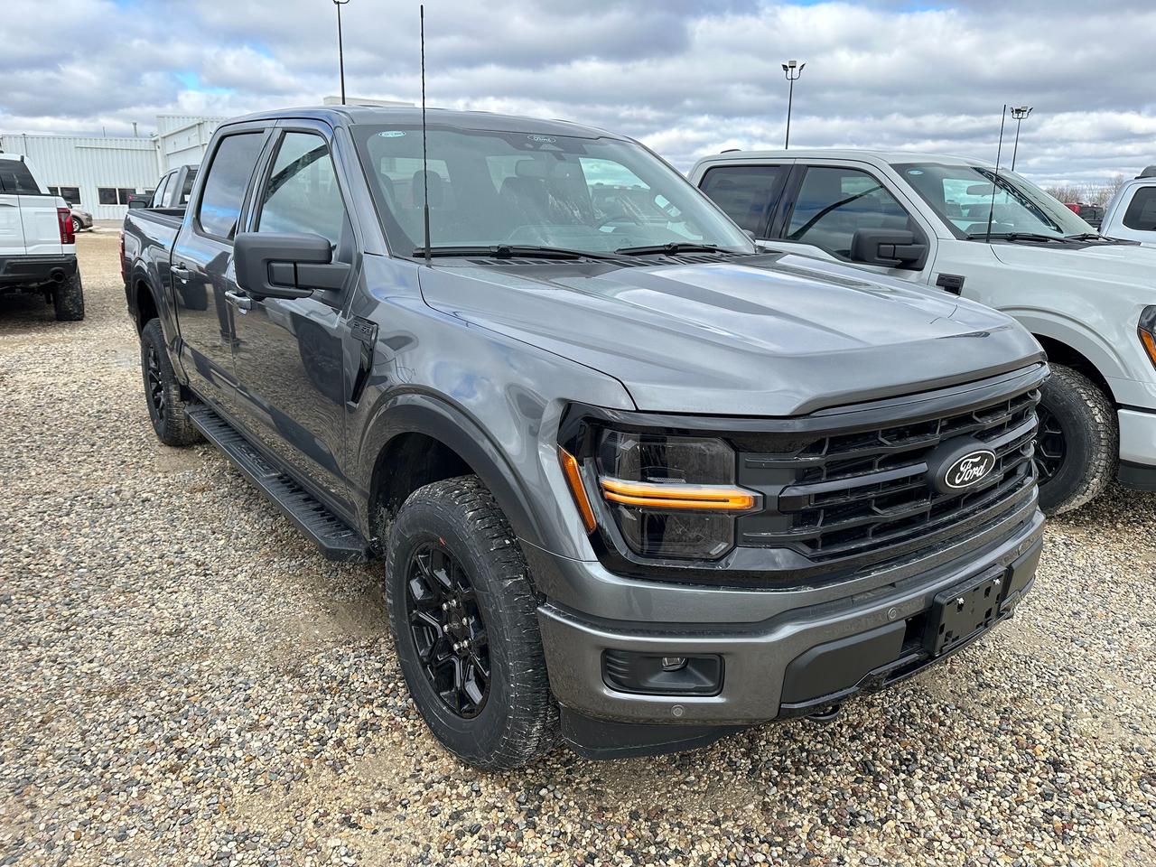 2026 Ford F-150 XLT 4WD SuperCrew 5.5' Box 302A Photo5