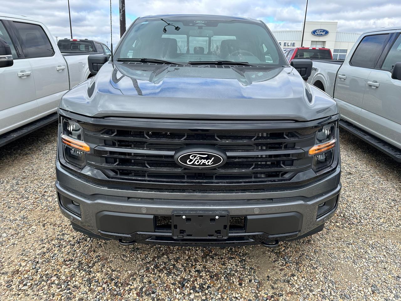 2026 Ford F-150 XLT 4WD SuperCrew 5.5' Box 302A Photo1
