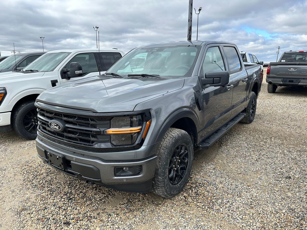 2026 Ford F-150 XLT 4WD SuperCrew 5.5' Box 302A Photo5