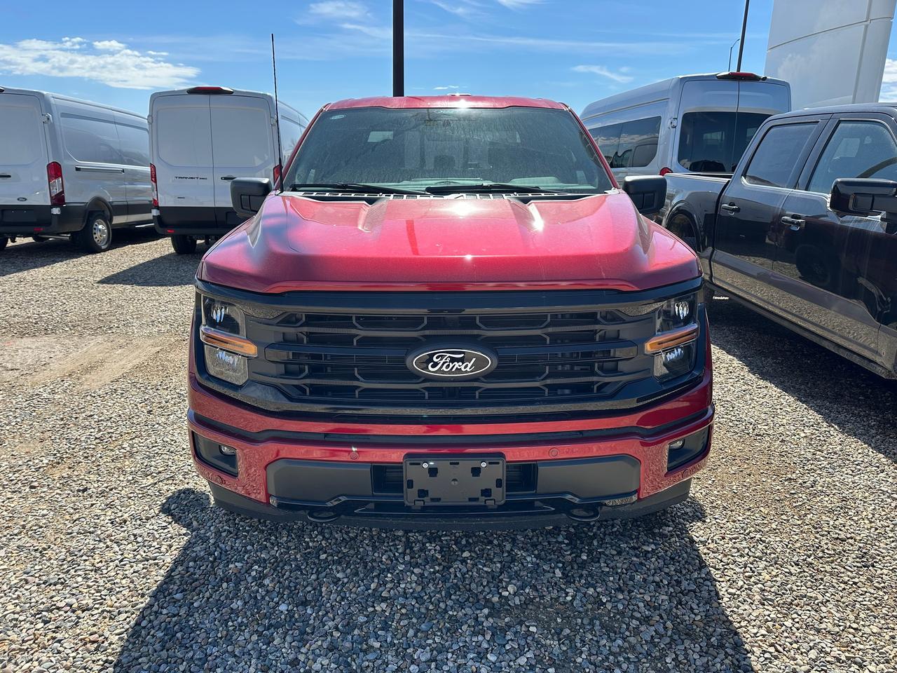 2026 Ford F-150 XLT 4WD SuperCrew 5.5' Box 302A Photo