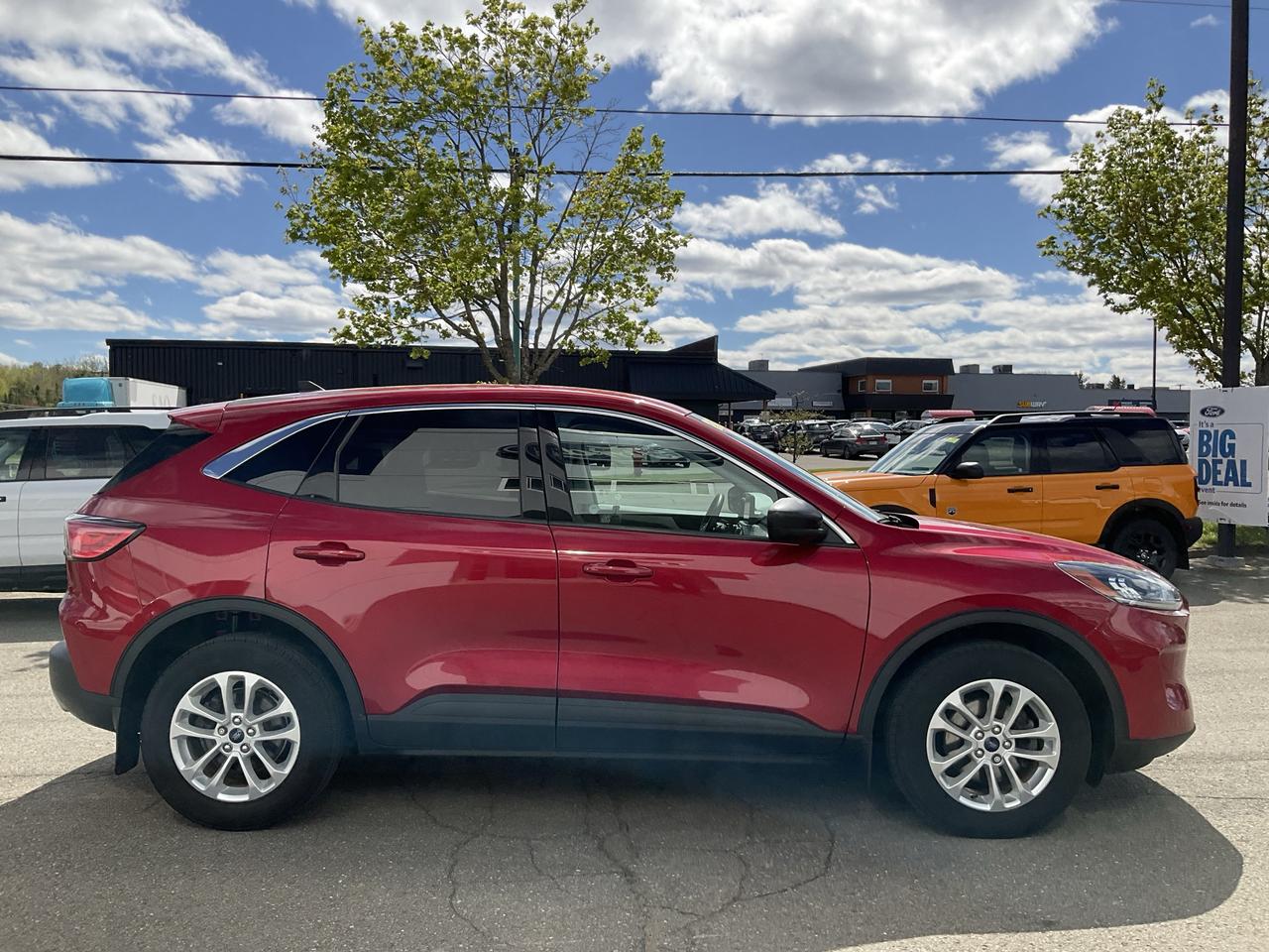 2022 Ford Escape SE Photo3