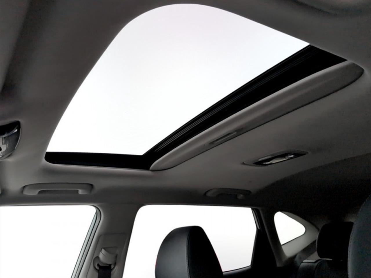 2025 Kia Seltos EX Photo
