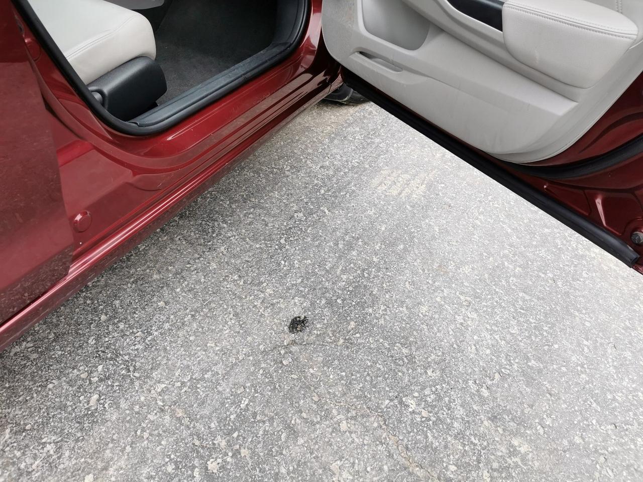 2015 Honda Civic Touring Photo