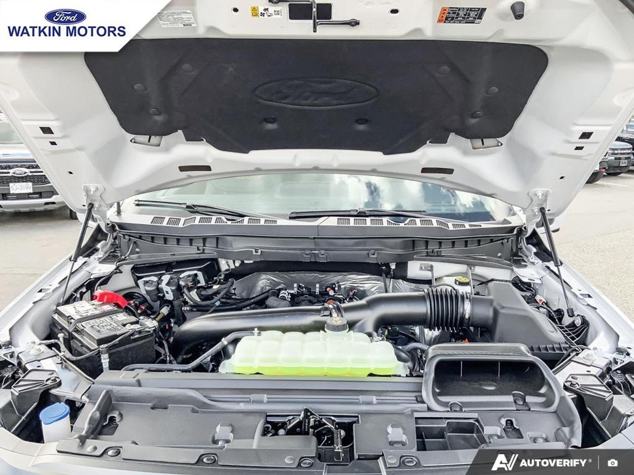 2026 Ford F-150 Tremor Photo12
