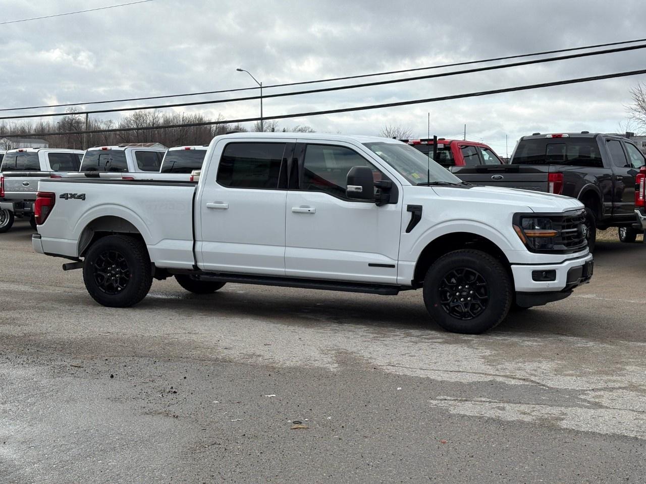 2026 Ford F-150 XLT 4WD SuperCrew 6.5' Box Photo4