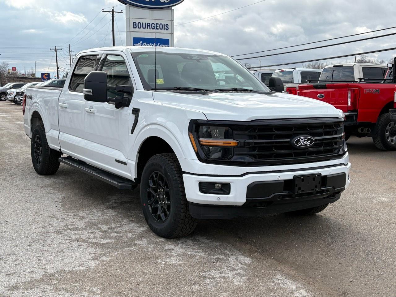 2026 Ford F-150 XLT 4WD SuperCrew 6.5' Box Photo3