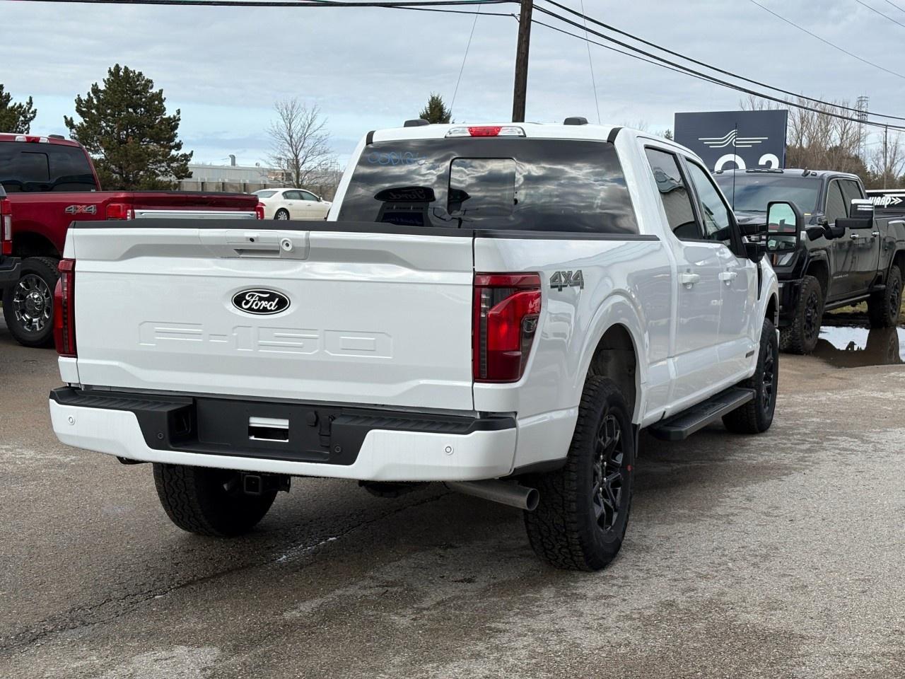 2026 Ford F-150 XLT 4WD SuperCrew 6.5' Box Photo