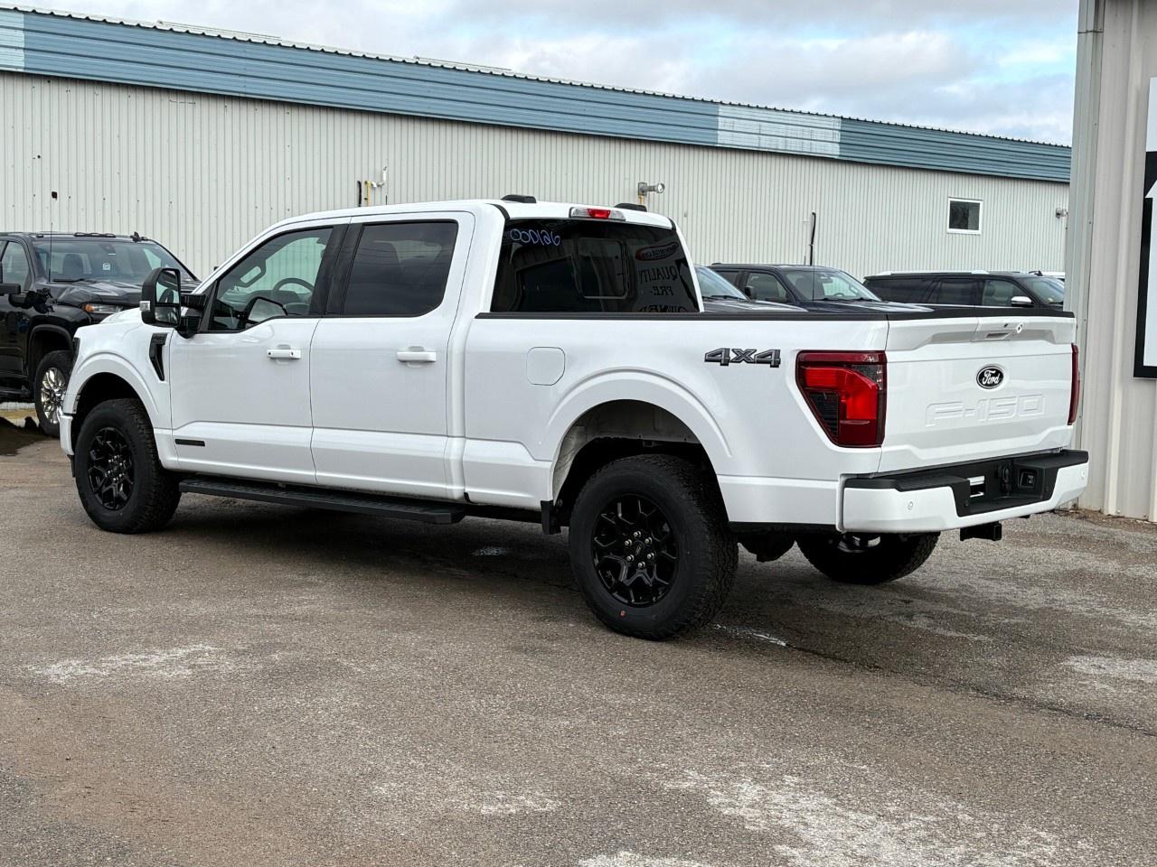 2026 Ford F-150 XLT 4WD SuperCrew 6.5' Box Photo