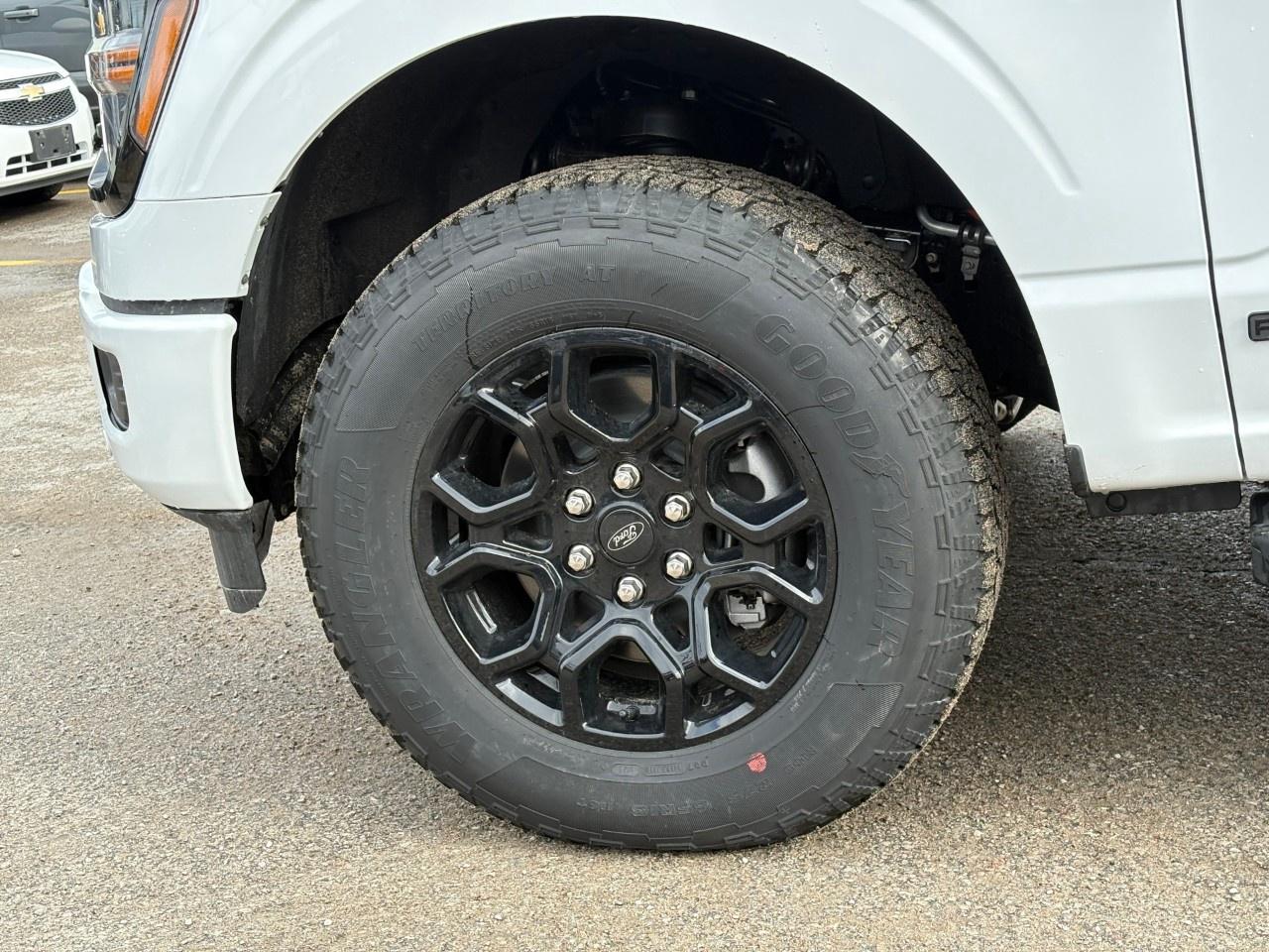 2026 Ford F-150 XLT 4WD SuperCrew 6.5' Box Photo