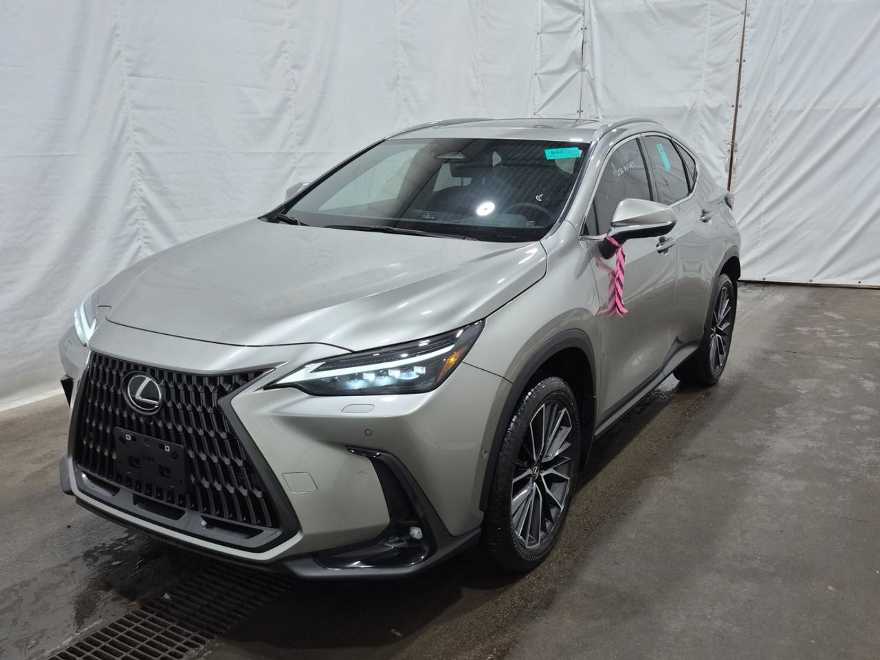 2024 Lexus NX 450 H | EXECUTIVE | NO ACCIDENTS | ONE OWNER Photo2
