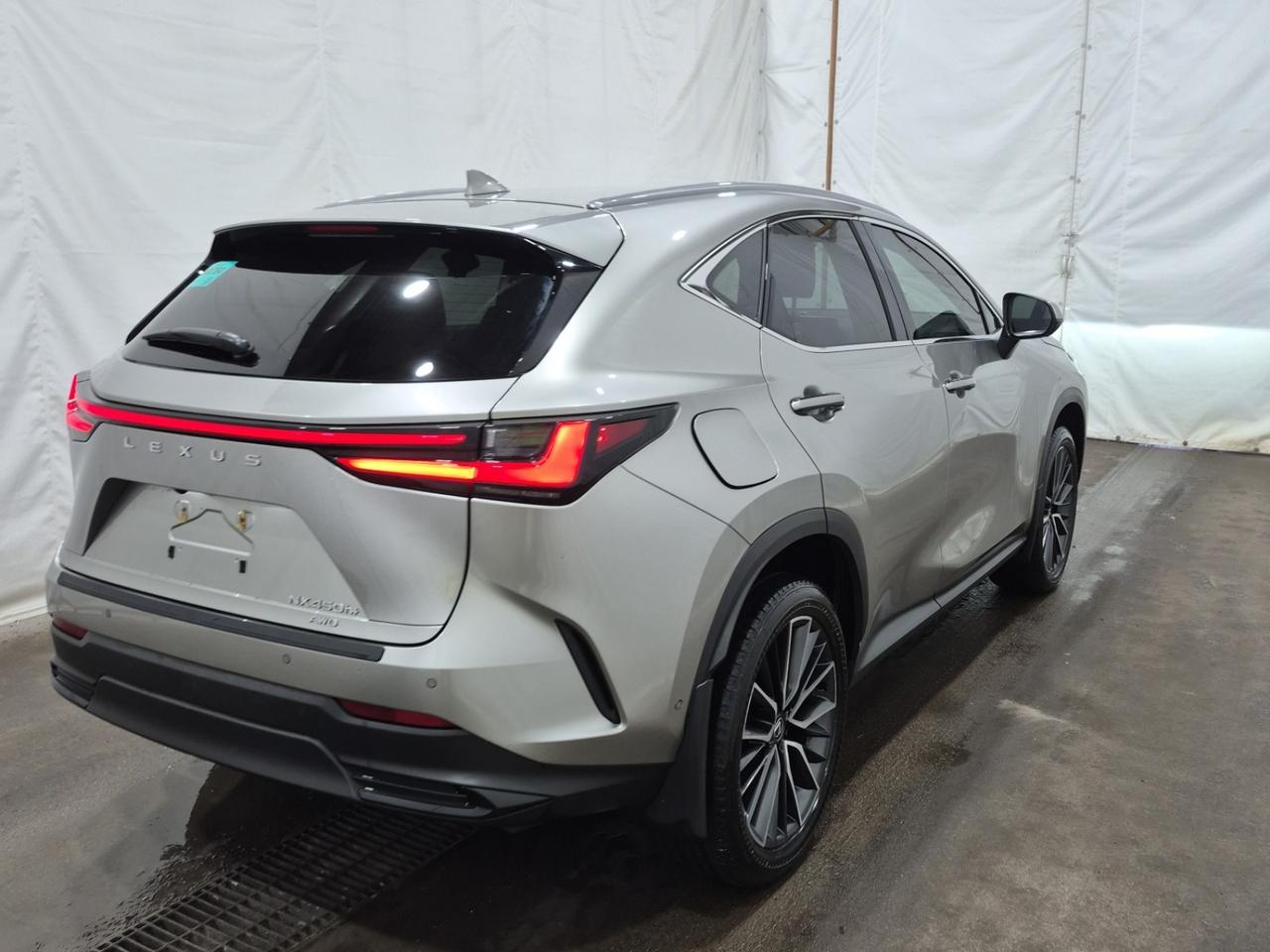 2024 Lexus NX 450 H | EXECUTIVE | NO ACCIDENTS | ONE OWNER Photo