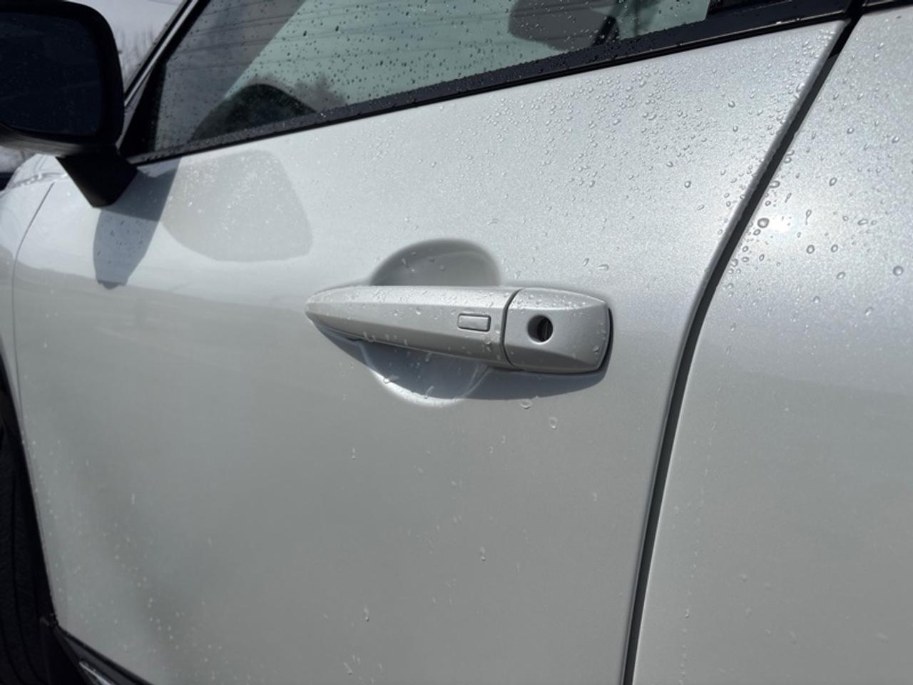 2024 Nissan Rogue Platinum  - HUD -  Leather Seats Photo