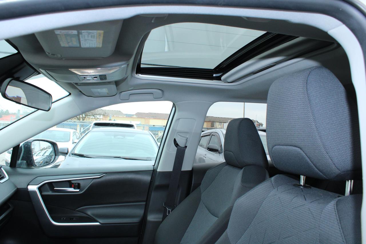 2025 Toyota RAV4 XLE AWD Photo