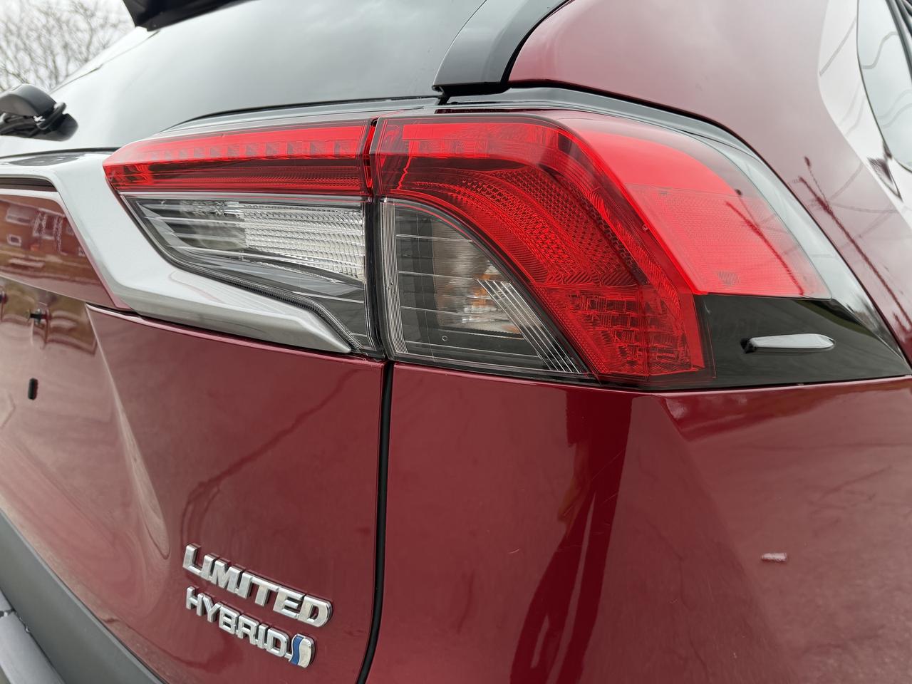 2020 Toyota RAV4 Hybrid Limited AWD Photo