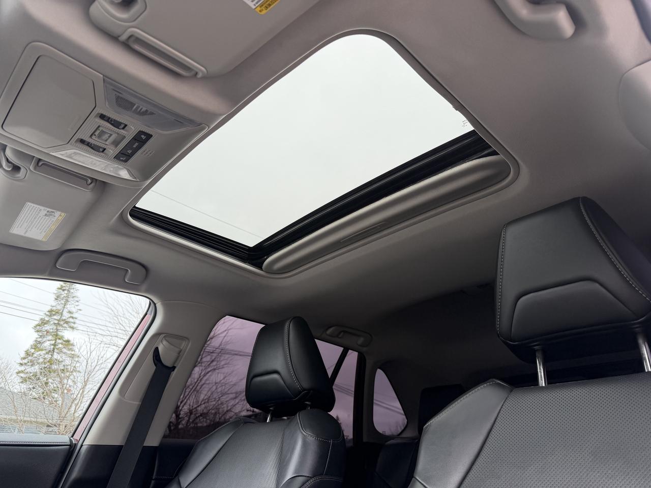 2020 Toyota RAV4 Hybrid Limited AWD Photo