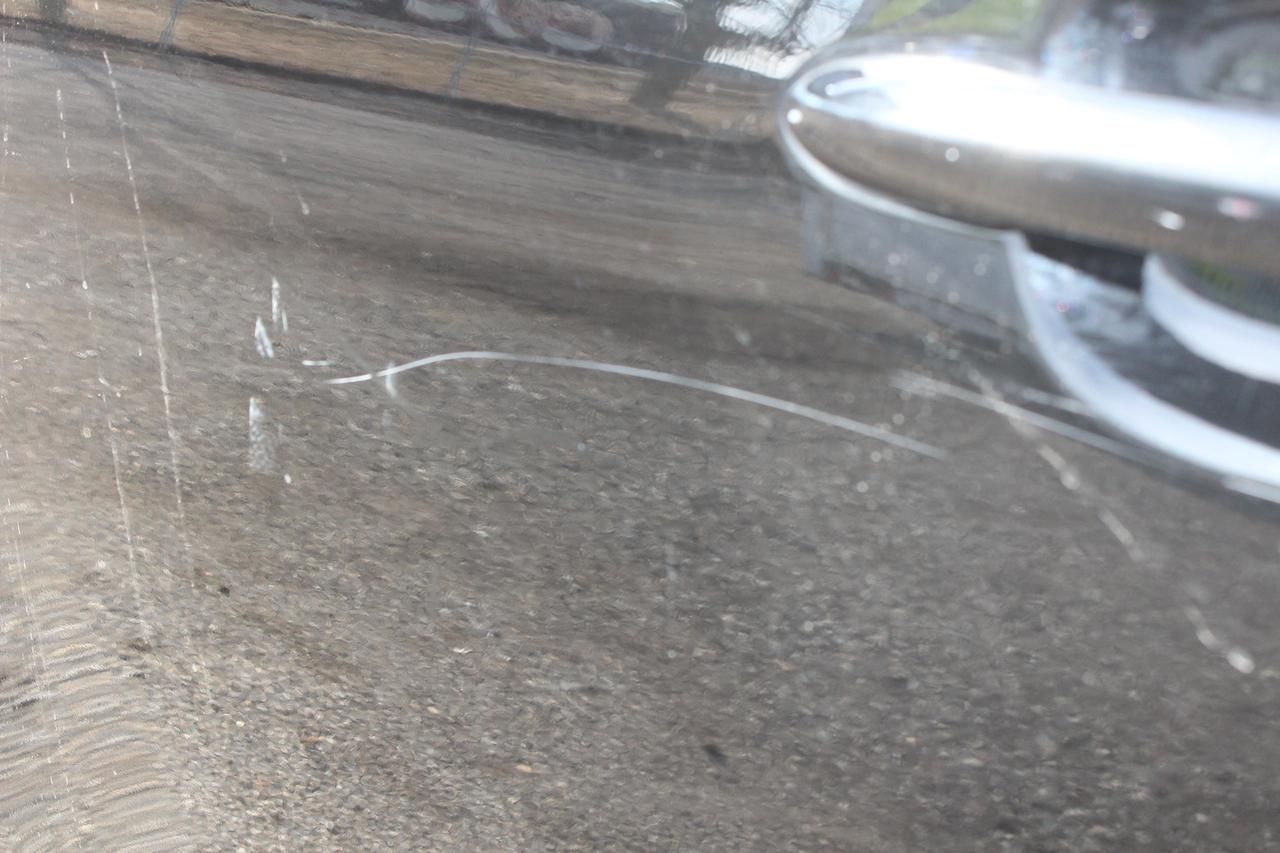 2017 Kia Sedona L Photo