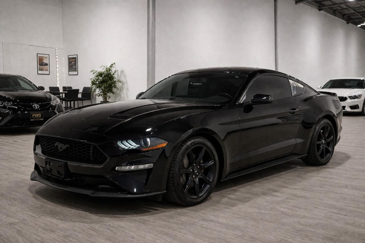 2020 Ford Mustang EB Fastback||Clean Carfax||Apple CarPlay Photo0