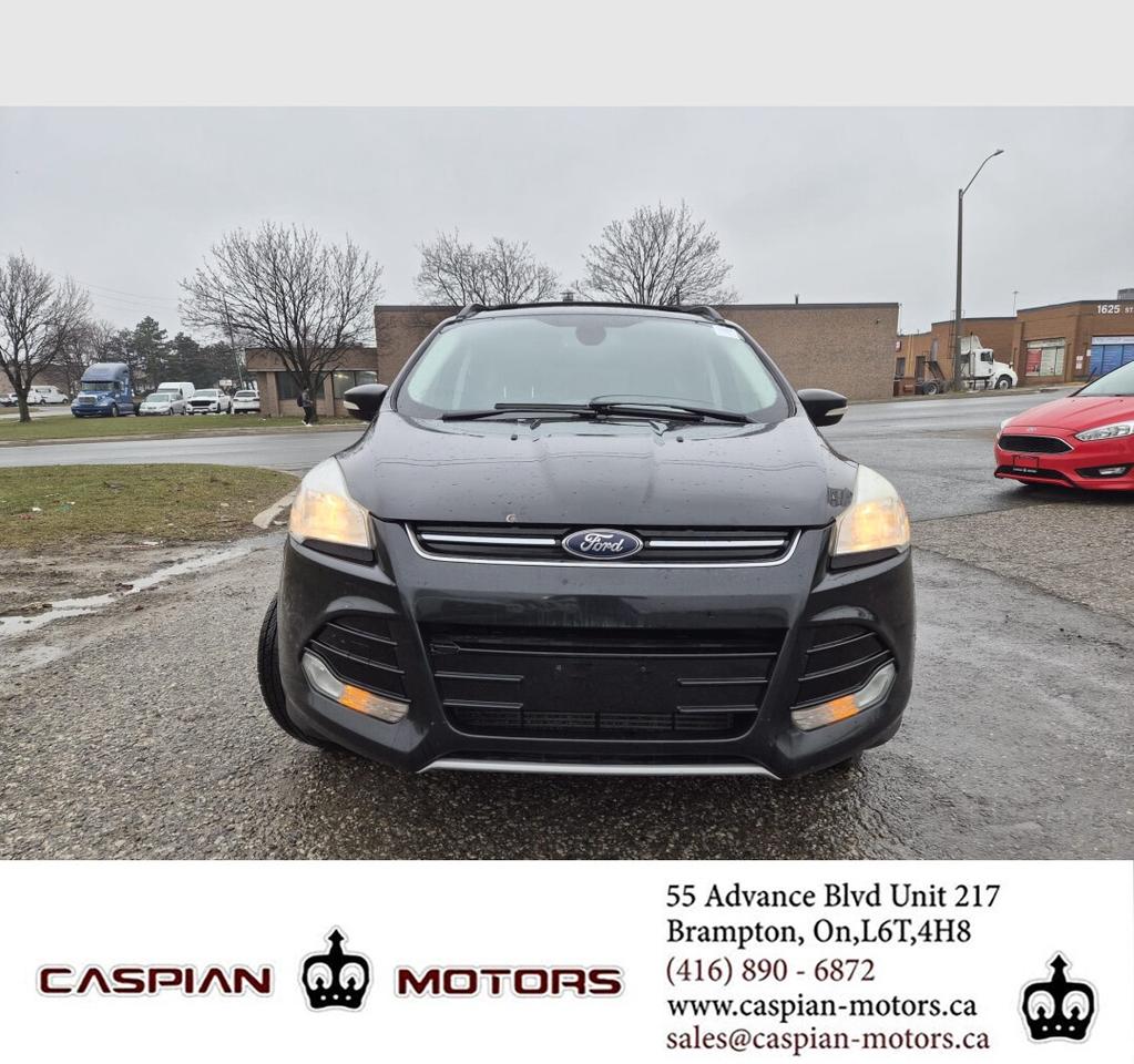 2013 Ford Escape SEL Photo