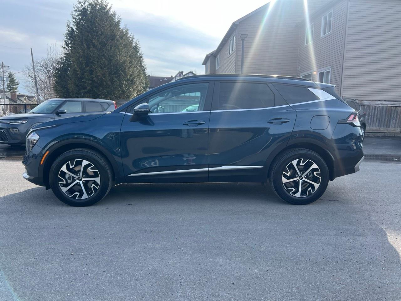 2023 Kia Sportage  Photo