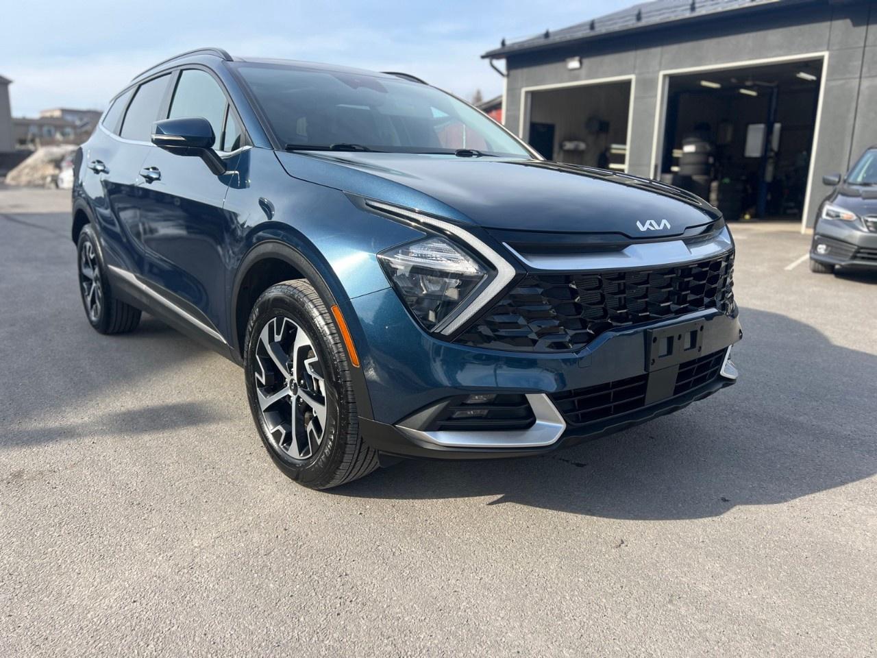 2023 Kia Sportage  Photo