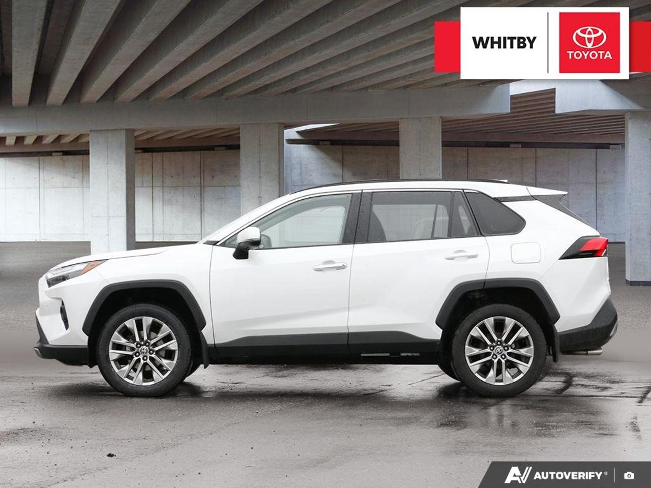 2023 Toyota RAV4 LIMITED 2.5L Photo4