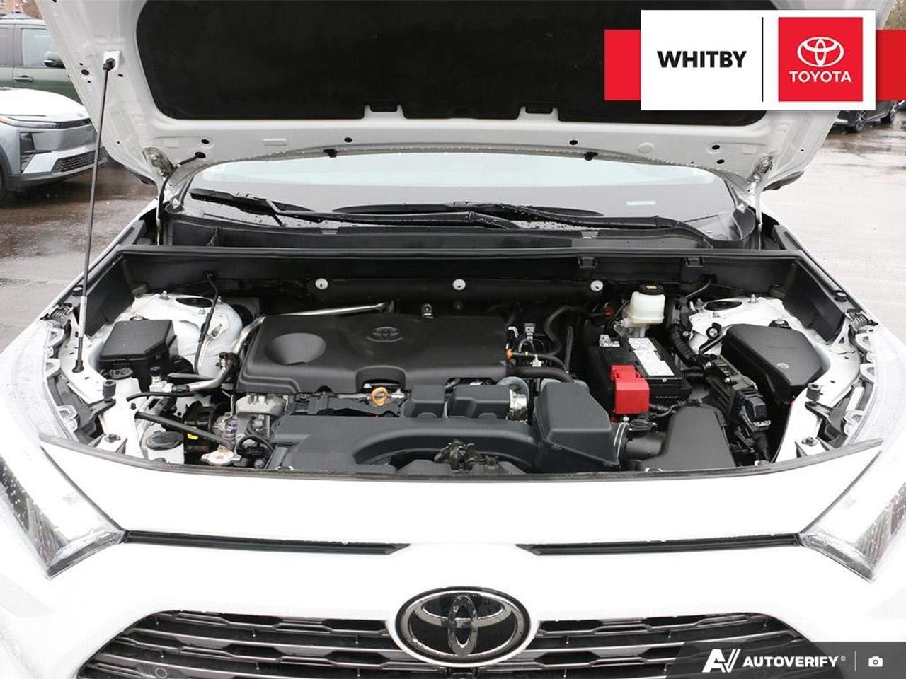 2023 Toyota RAV4 LIMITED 2.5L Photo