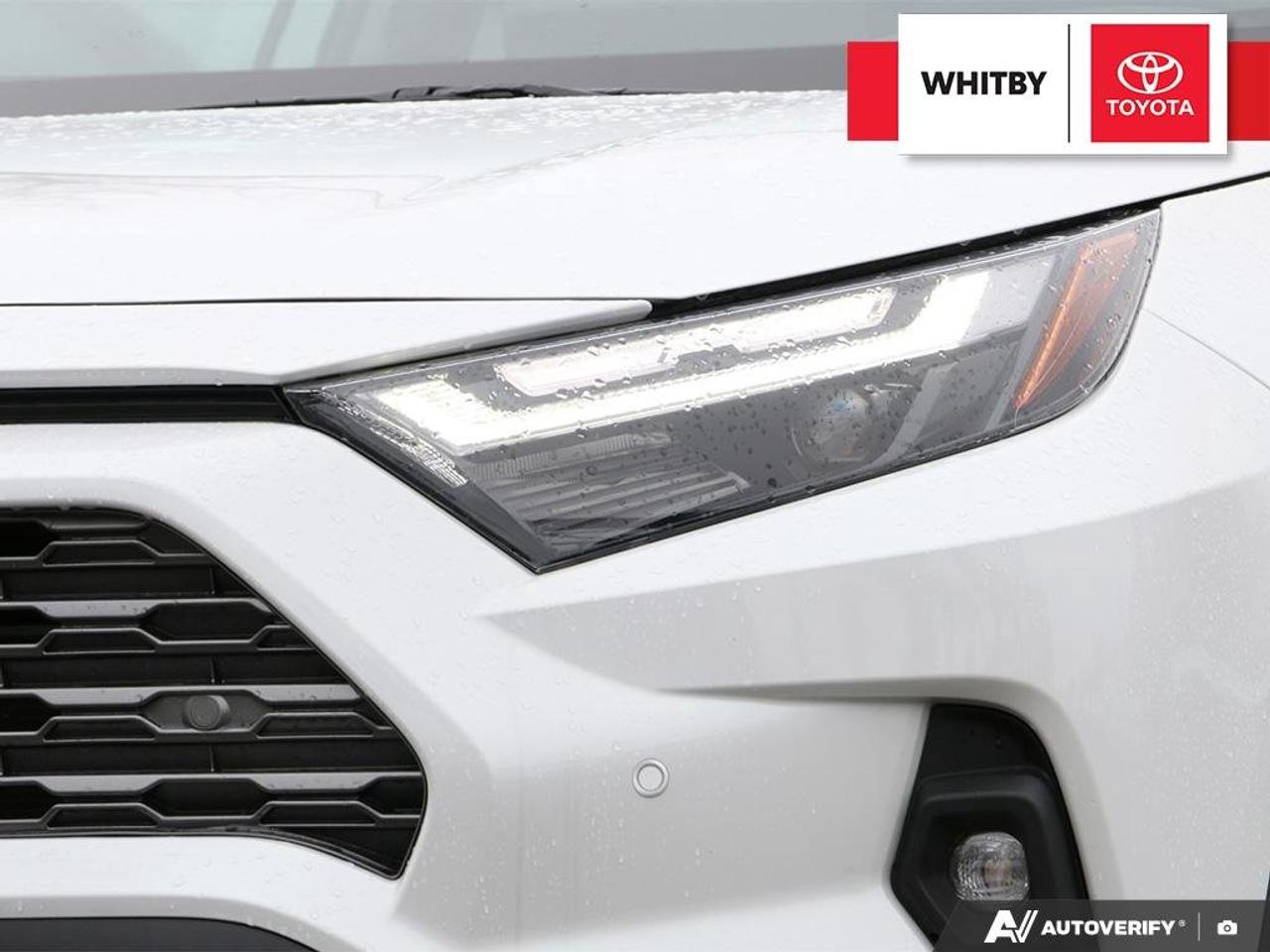 2023 Toyota RAV4 LIMITED 2.5L Photo