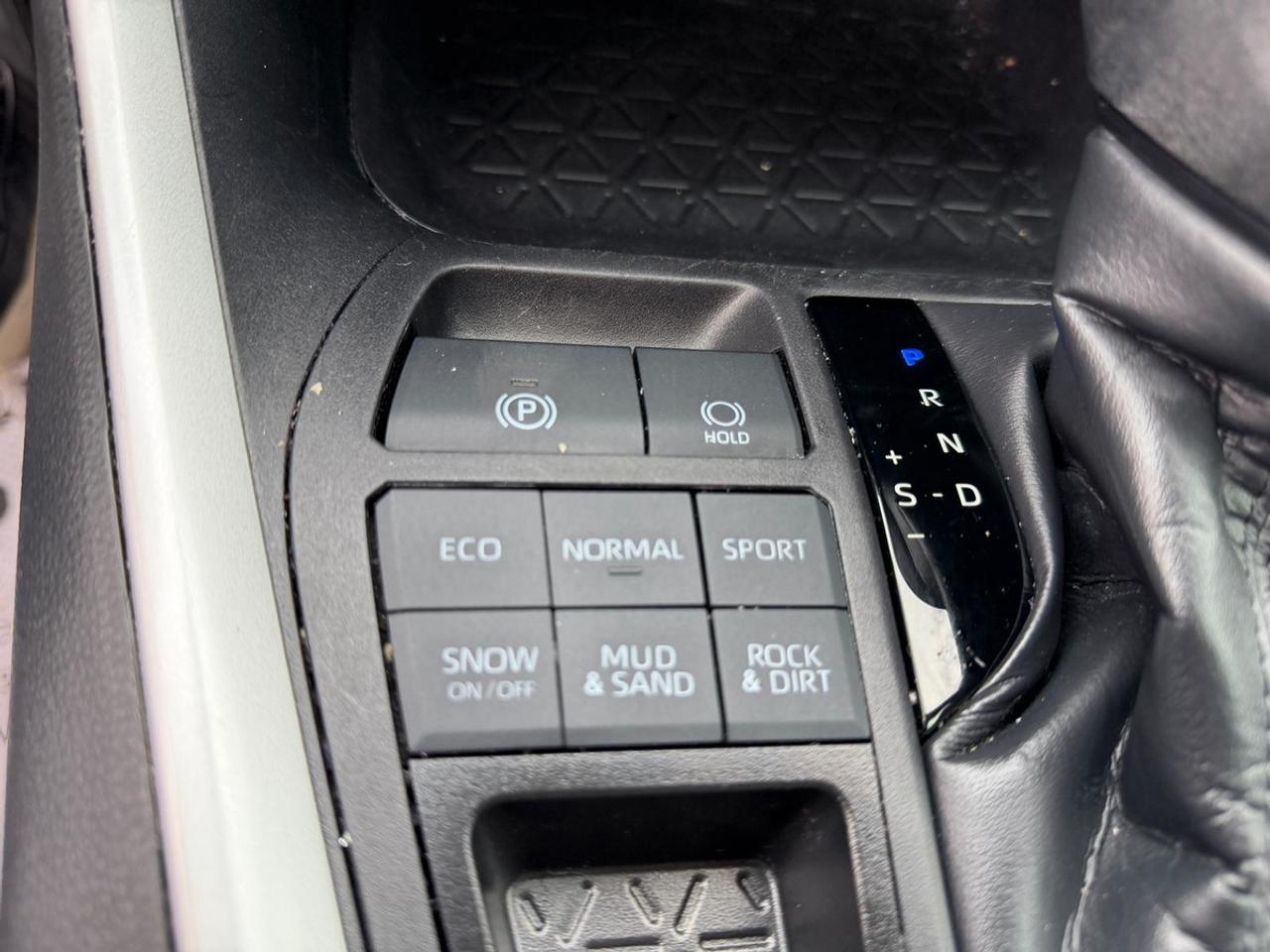 2024 Toyota RAV4 XLE Photo