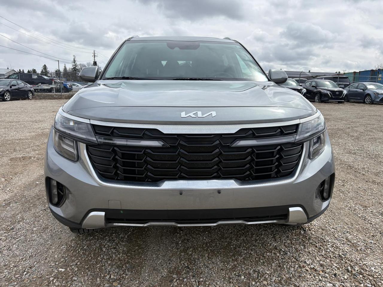 2024 Kia Seltos EX Photo
