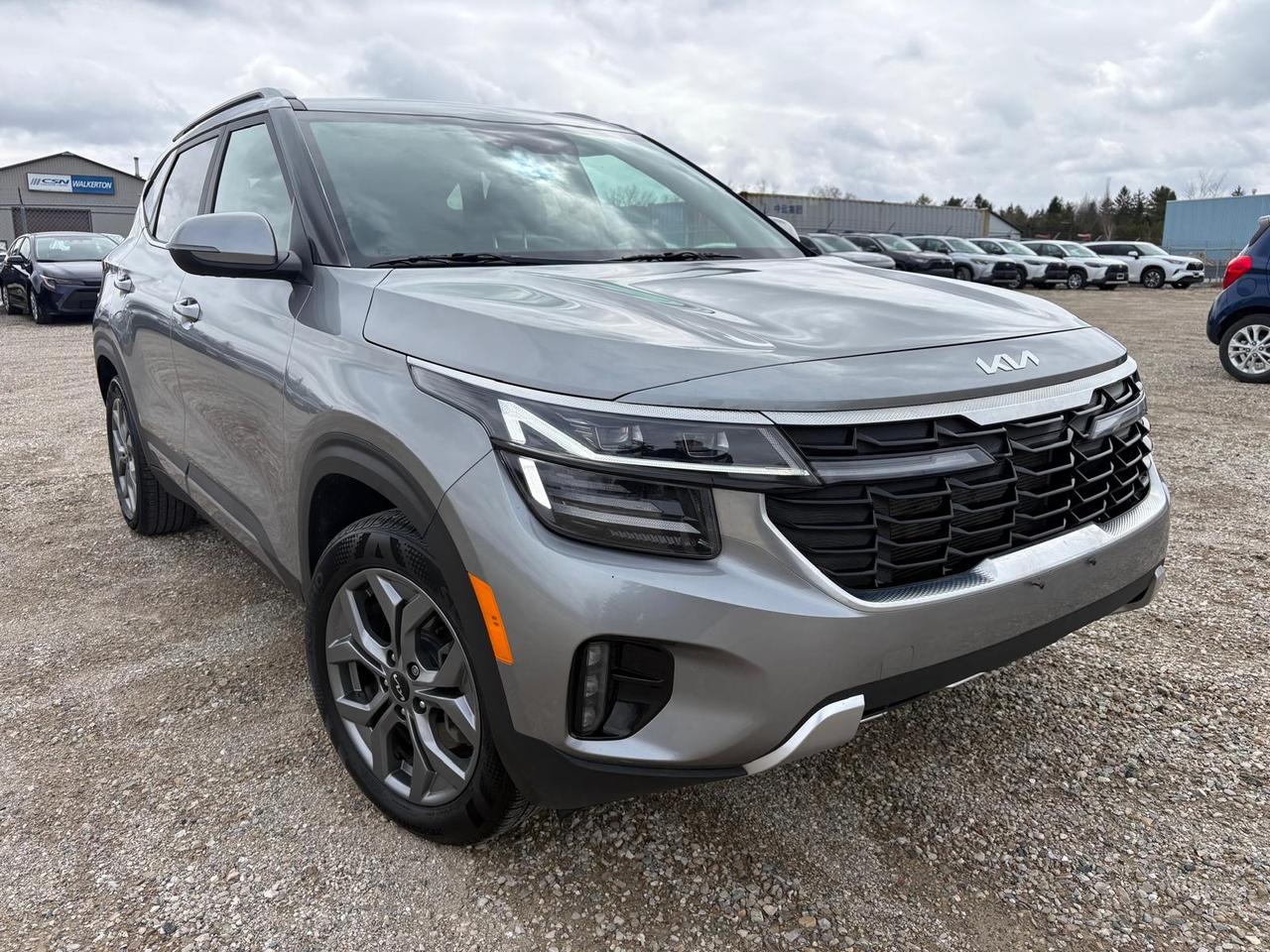 2024 Kia Seltos EX Photo