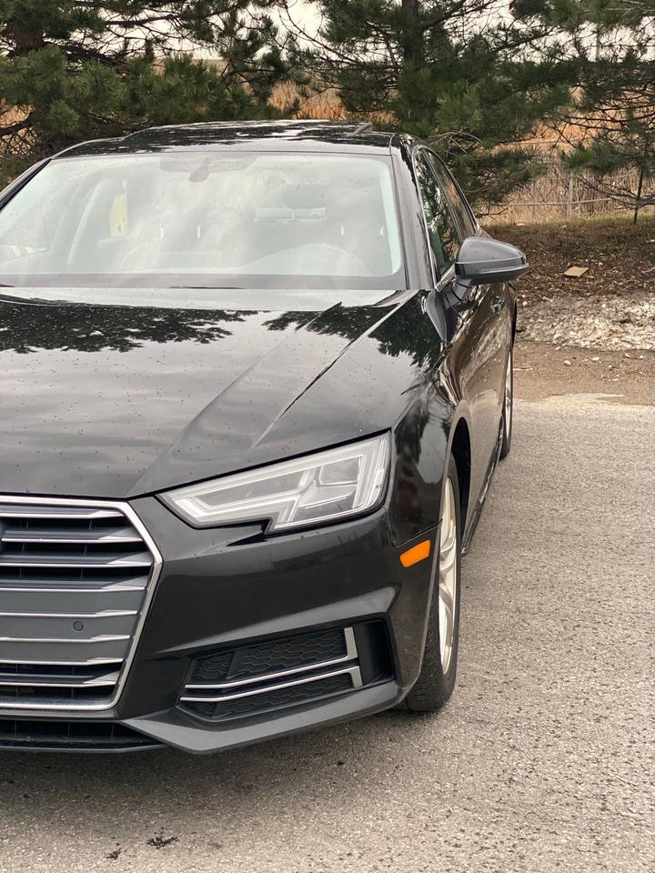 2018 Audi A4 Progressiv Quattro | 360 Camera | LEATHER | SUNROO Photo