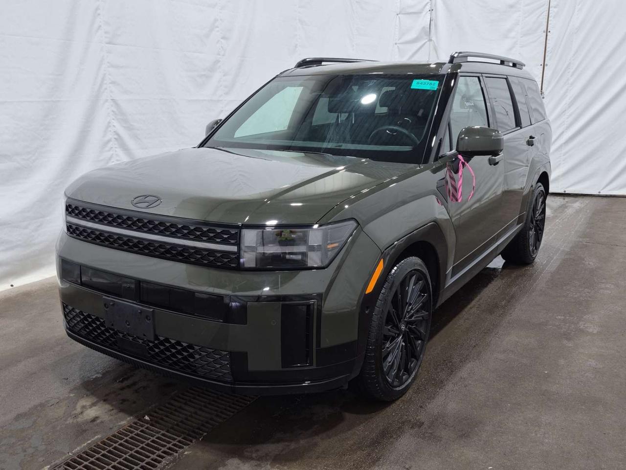 2024 Hyundai Santa Fe Ultimate Calligraphy 4dr All-Wheel Drive Photo