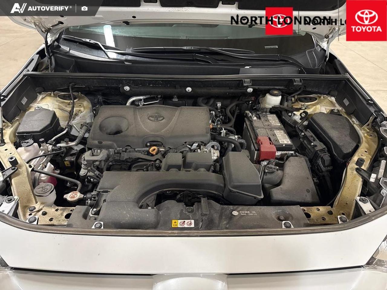 2024 Toyota RAV4 XLE 4dr All-wheel Drive Photo