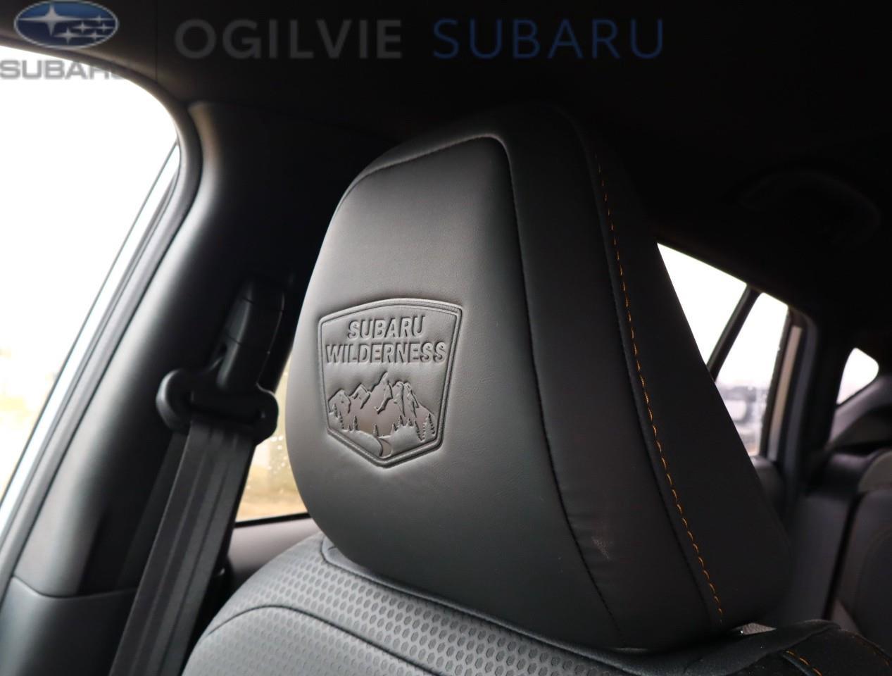 2024 Subaru Crosstrek Wilderness 4dr All-Wheel Drive Photo