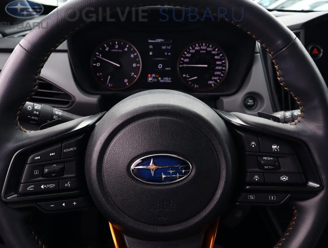 2024 Subaru Crosstrek Wilderness 4dr All-Wheel Drive Photo